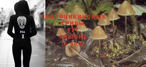 герыч Алексеевка