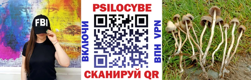 Галлюциногенные грибы GOLDEN TEACHER  Купить где  Безенчук 